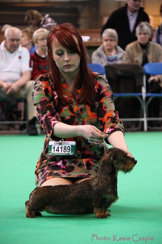 Crufts2011_2 1202.jpg